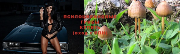 меф Алексин