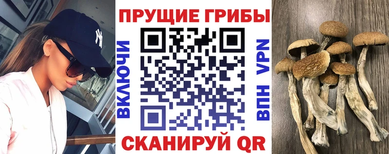Галлюциногенные грибы Magic Shrooms  Княгинино 