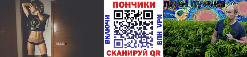 Бошки марихуана план Княгинино